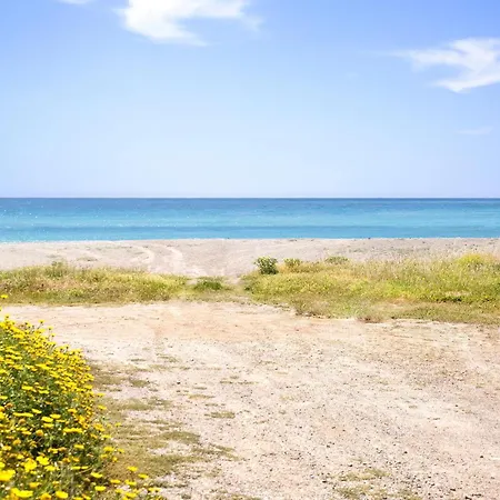 Appartement Stunning In